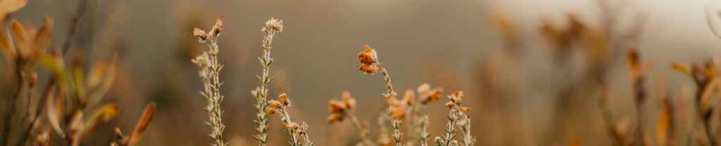 Oración del desesperado.