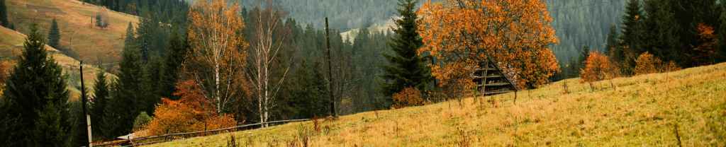 El método de Dios es el&nbsp;amor.