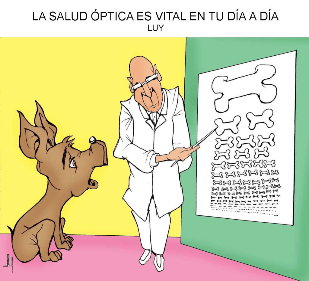 La Salud Óptica es Vital en Tu Día a&nbsp;Día.
