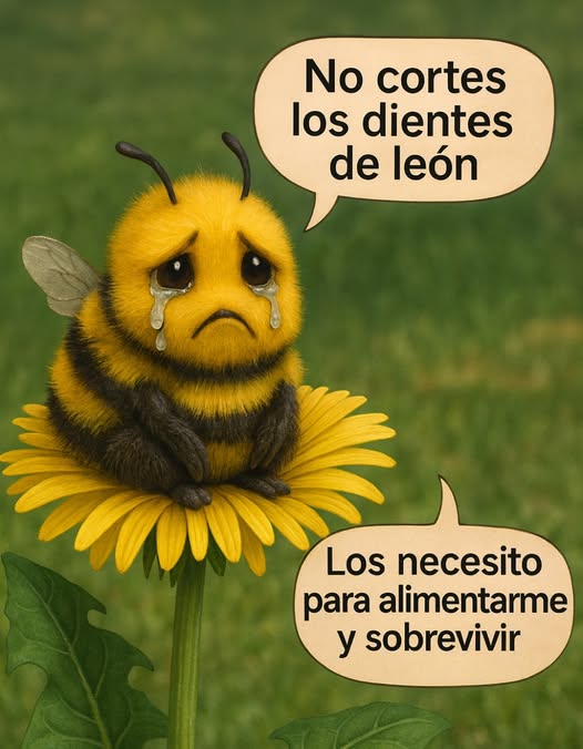 YO DIGO, YO&nbsp;PREGUNTO