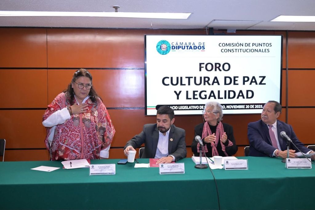 Vamos por el buen camino en la construcción de la paz, destaca la diputada federal de Morena Rosario Orozco&nbsp;Caballero.