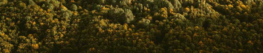 Bondad hacia los que&nbsp;sufren.