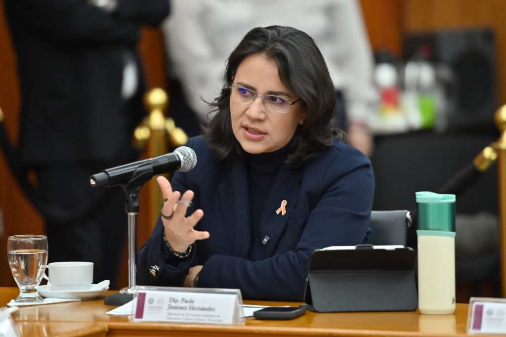 Avanza en comisiones integrar la salud mental en planes de&nbsp;estudio.