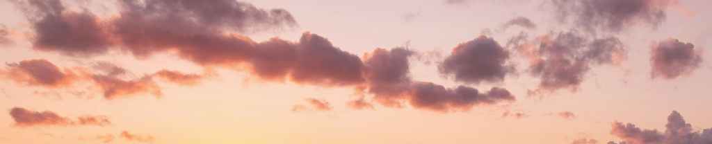 Recorrer catálogos.