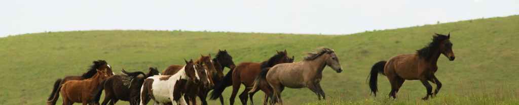 Conocer y amar a&nbsp;otros.