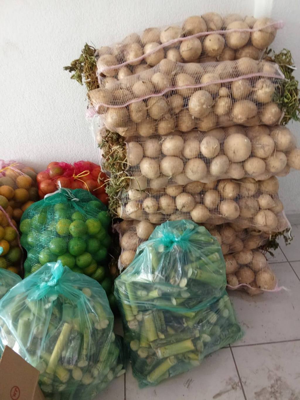 Colaborando en Descargar La Fruta para Las&nbsp;Piñatas.