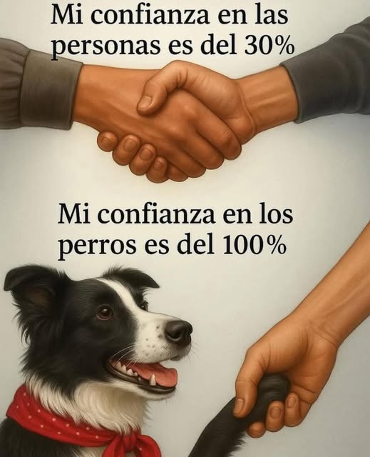 En cuanto a Las Personas, SIN&nbsp;GENERALIZAR.