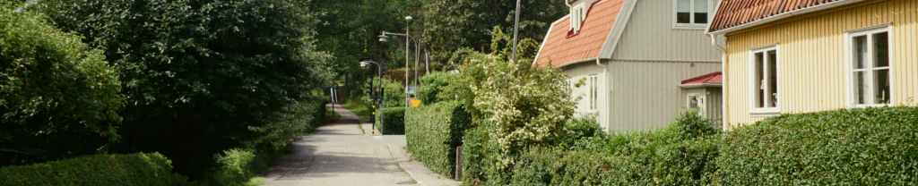 ¿Quién es mi&nbsp;prójimo?