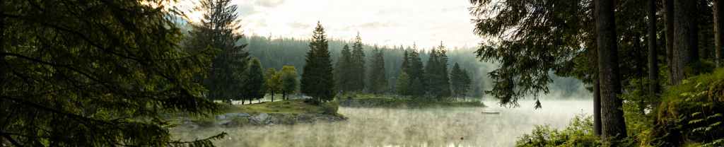 Crecer mediante la&nbsp;aflicción.