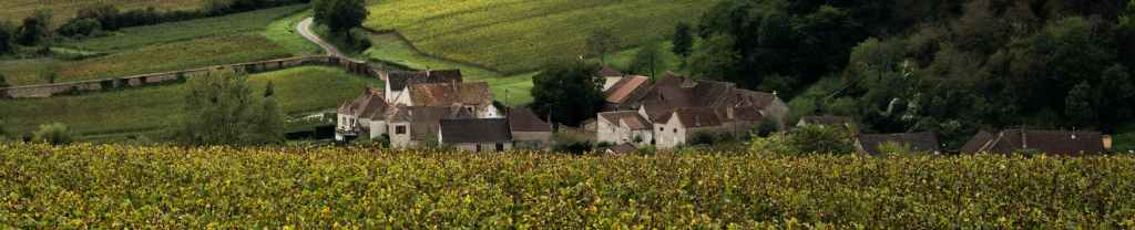 De la angustia a la&nbsp;alabanza