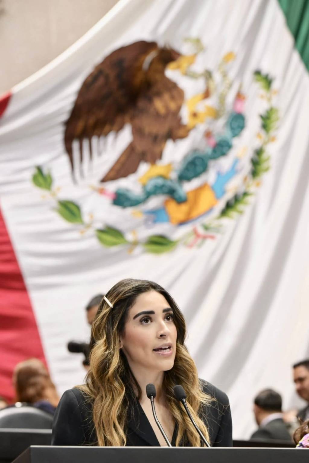 Propone Diputada Federal de Morena María Teresa Ealy Díaz Iniciativa en Materia de Violencia en Relaciones de Pareja, Ex Pareja o Vínculo&nbsp;Afectivo.