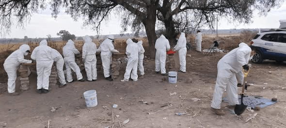 Mi solidaridad y modesto apoyo con los colectivos de madres&nbsp;buscadoras.