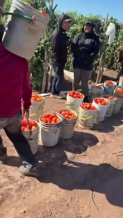 ¡¡¡Enhorabuena Ecatepec, con El Programa «Del Campo a Tu&nbsp;Mesa»!!!