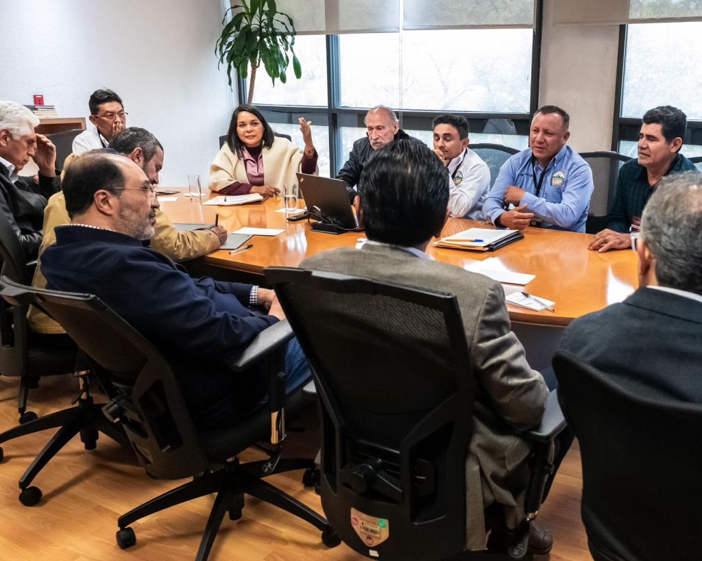 Plantea Senadora por Morena Beatriz Mojica Morga atención prioritaria para la Sierra del estado de&nbsp;Guerrero.