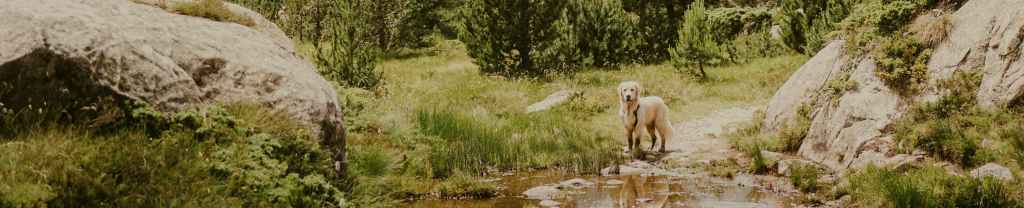 En la presencia de&nbsp;Dios.