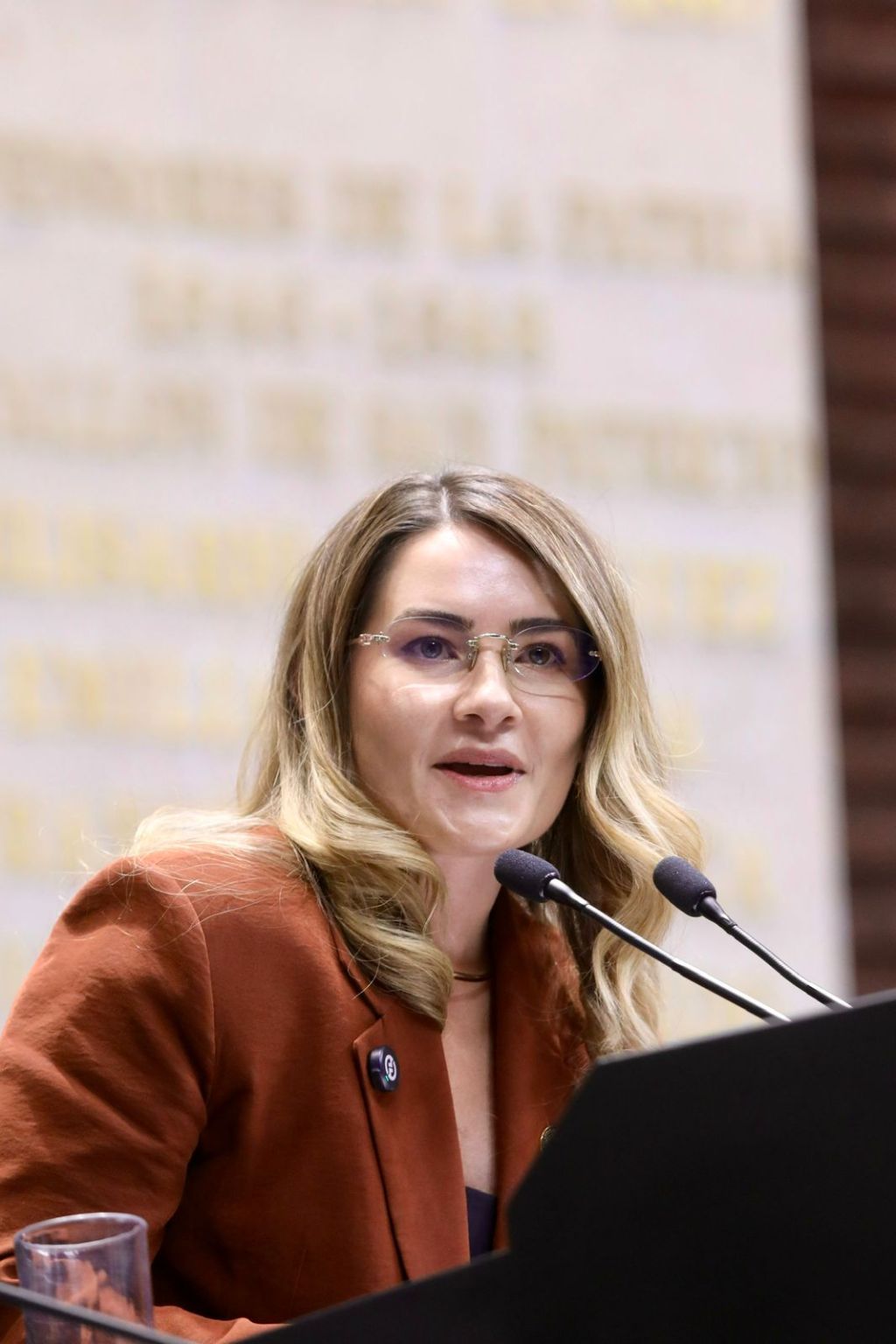 Diputada Federal del PRI Ariana del Rocío Rejón Lara Propone Reforma para Proteger Economía de Familias con Pacientes Oncológicos.