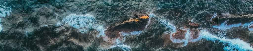 Sobrevivientes por la misericordia de&nbsp;Dios.