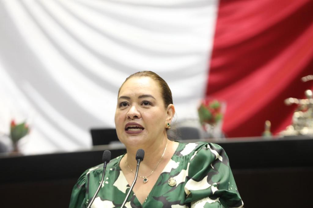 Diputada Federal del PRI Mónica Sandoval Hernández propone Reglas Claras para Fortalecer La Democracia&nbsp;Participativa.