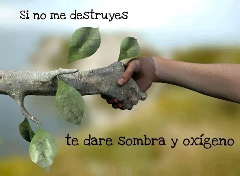 ¿Si Se Explica Esto&nbsp;Verdad?