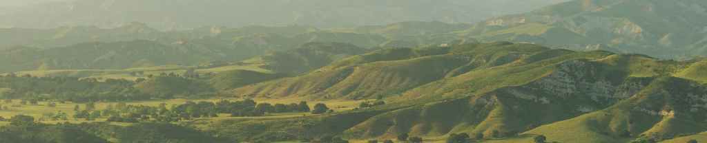 Un corazón ensanchado.