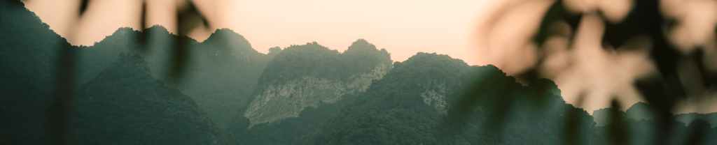 La creencia de&nbsp;Belle.