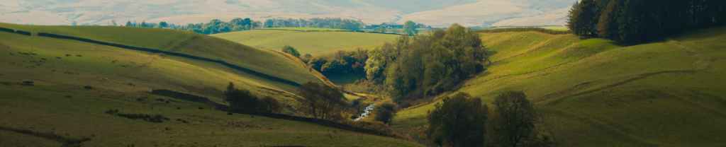 Cómo caen los&nbsp;arrogantes.