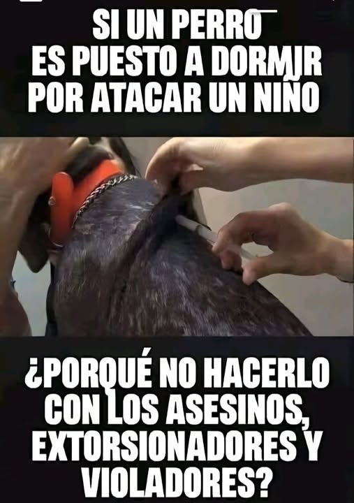 YO DIGO, YO&nbsp;PREGUNTO