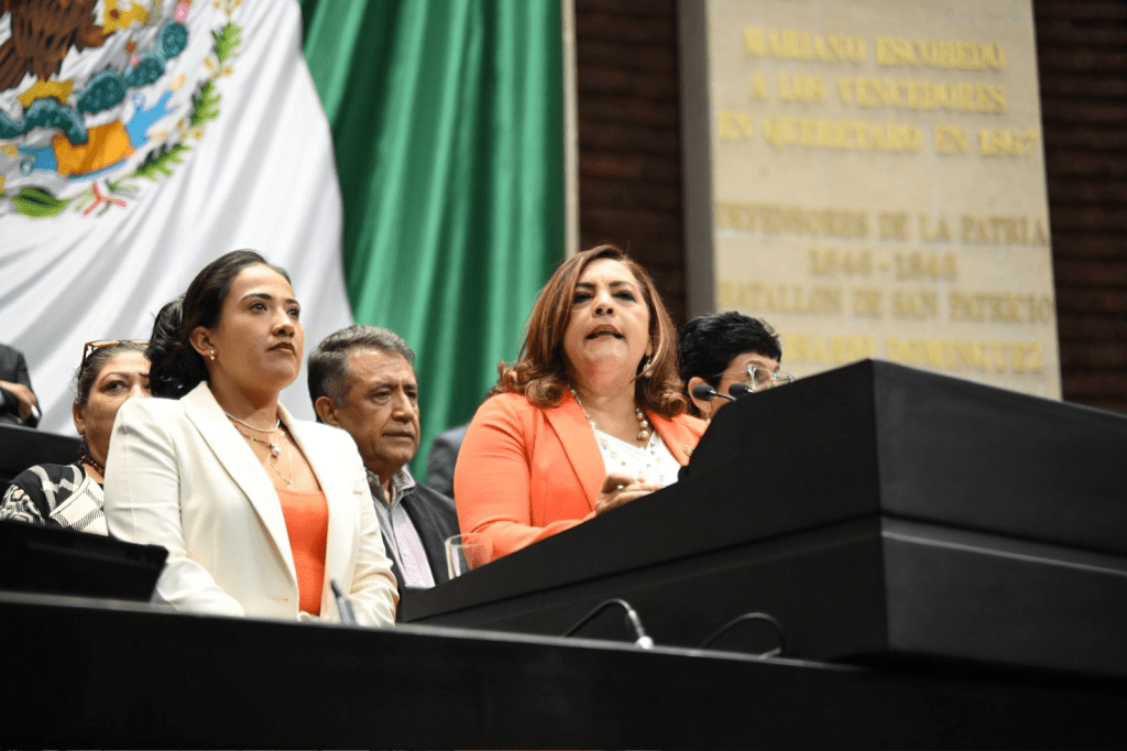 Propone La Diputada Federal por Morena Rosa Guadalupe Ortega Tiburcio incorporar Criterios de Riesgo y Vulnerabilidad Territorial en Zonas de Atención&nbsp;Prioritaria.