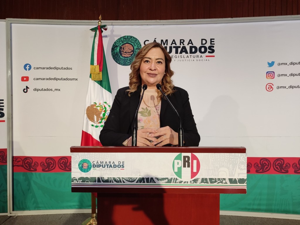 Menores de Edad deben estar Protegidos contra Violencia Vicaria: Diputada Federal del PRI Mónica Sandoval&nbsp;Hernández.