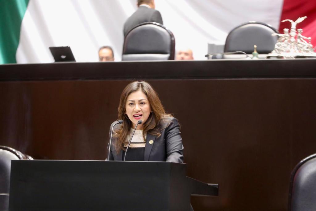 Ante presiones que Enfrentan Mexicanos en Estados Unidos, Diputada Federal del PRI Nadia Navarro Acevedo Exige Reforzar Protección&nbsp;Consular.