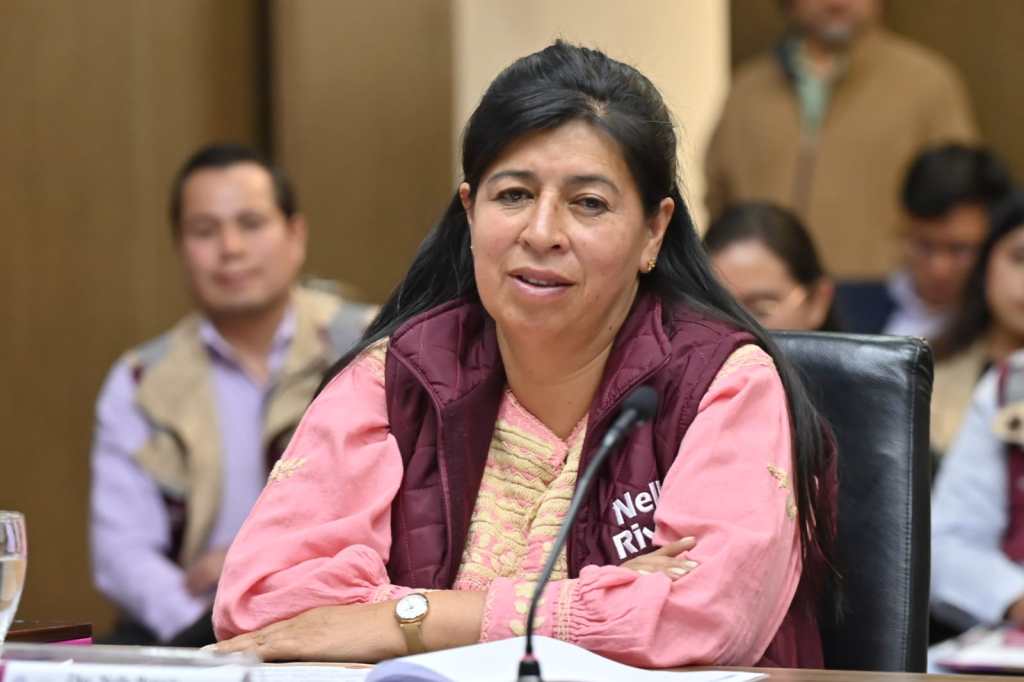 Congresistas buscan fortalecer participación política de&nbsp;juventudes.