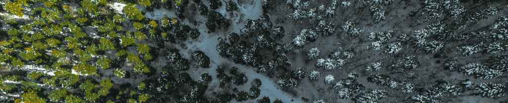 La bondad de&nbsp;Dios.