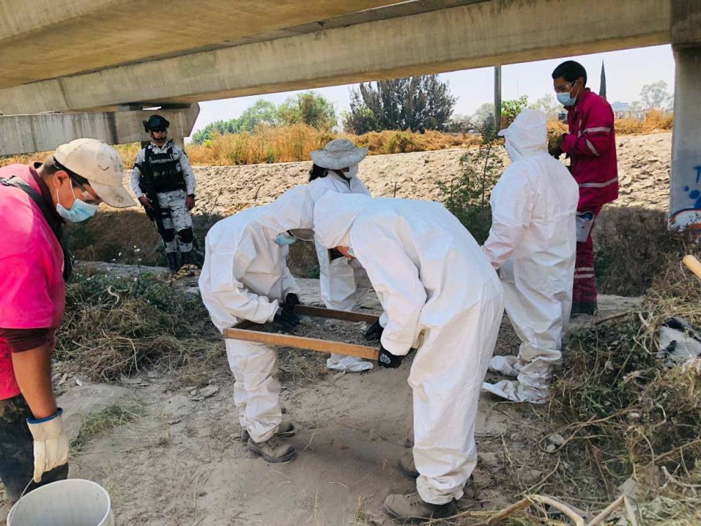 Estos Mensajes son El Mejor Pago al Trabajo Social.