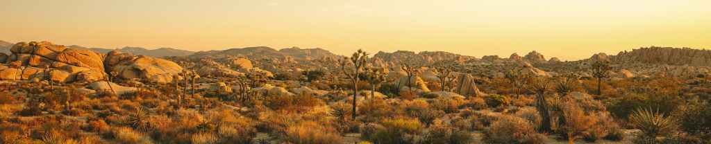 Recordatorio de la presencia de&nbsp;Dios.