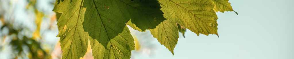 Dios en los detalles.