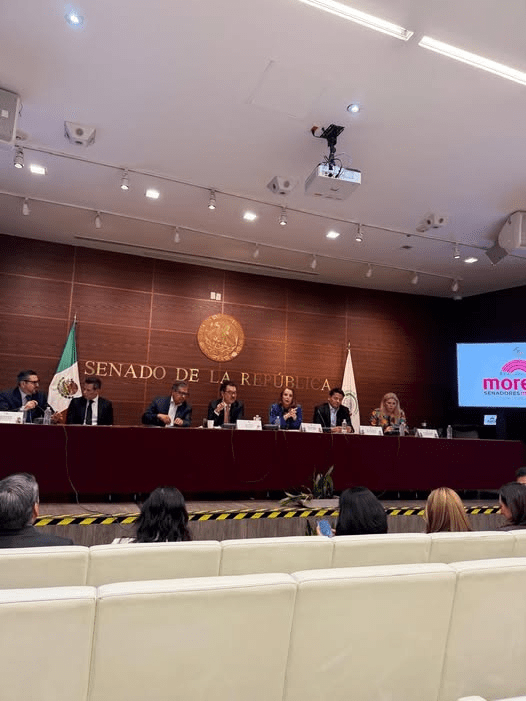 ¡¡¡Ya Hay Vicecoordinador del Grupo Parlamentario de Morena en El Senado de La República!!!.