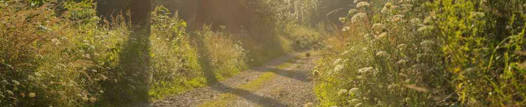 Bajo la mirada de&nbsp;Dios.