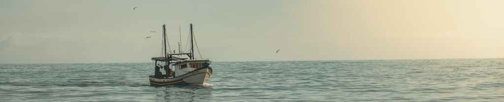 Dios, nuestro proveedor.