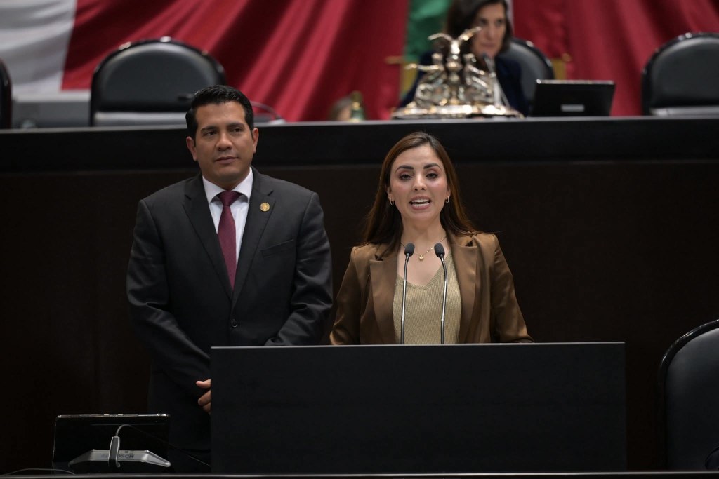 Propone Diputada Federal de Morena Mayra Dolores Palomar González robustecer La Ley en Materia de Regulación de Emisiones Sonoras generadas por La Pirotecnia de Estruendo.