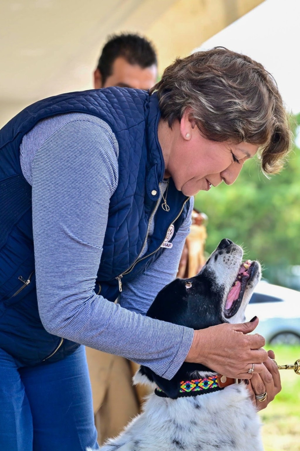 EdoMéx protege a seres sintientes en situación de calle, abandono o maltrato, con Ley de Bienestar Animal impulsada por la Gobernadora Delfina Gómez&nbsp;Álvarez.