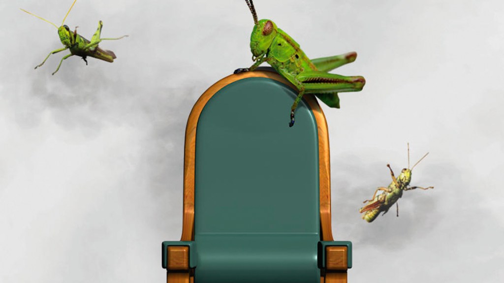 Los Chapulines Políticos y La Amistad de&nbsp;Campaña.