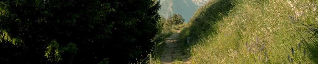 Camino de Santidad.