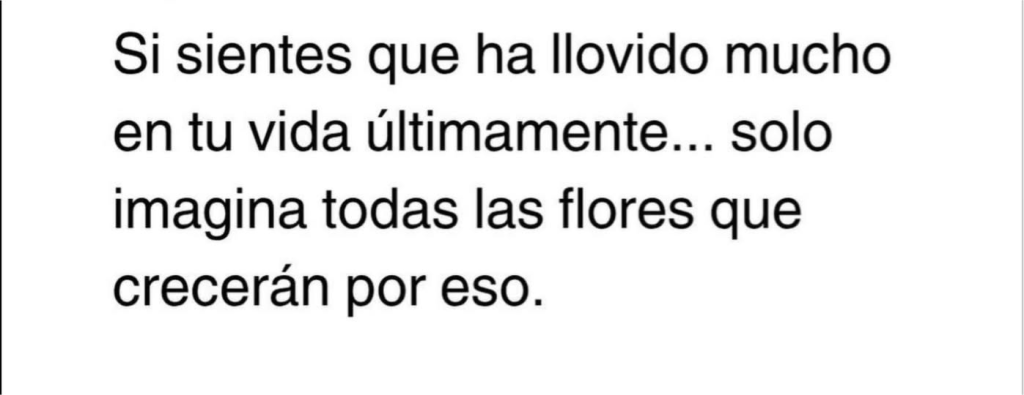 Paciencia Ante Todo.