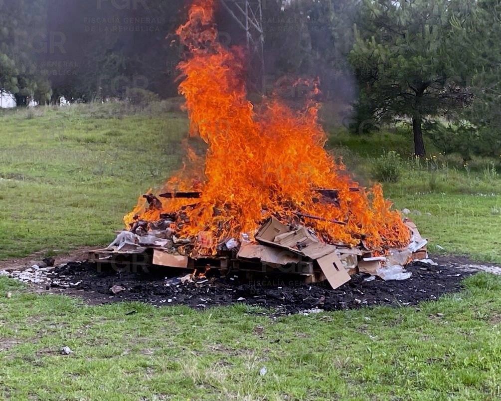 FGR Lleva a cabo Evento de Incineración de 133 Kilos de Narcóticos, más de 3 Mil Pastillas y más de 800&nbsp;Objetos.