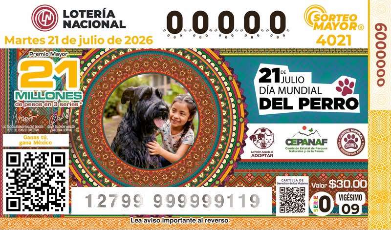 Perritos en los Billetes de Lotería: Símbolo de Esperanza y Exigencia de Justicia.
