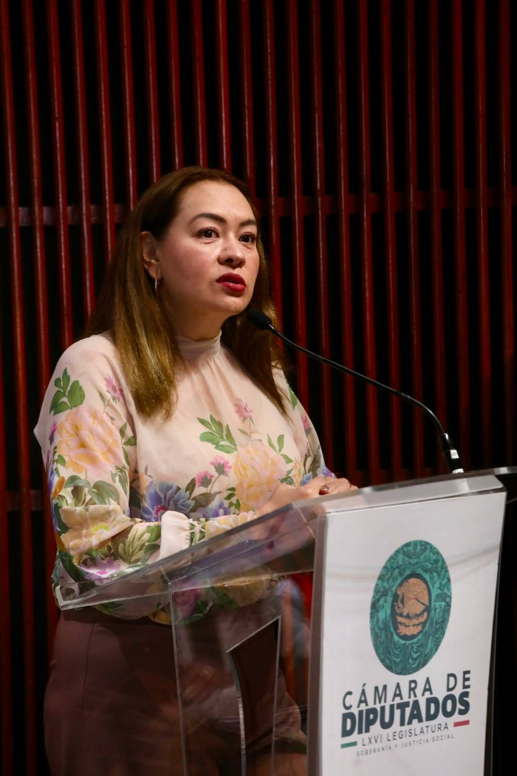 Mónica Sandoval Impulsa Reforma por Adultos Mayores.