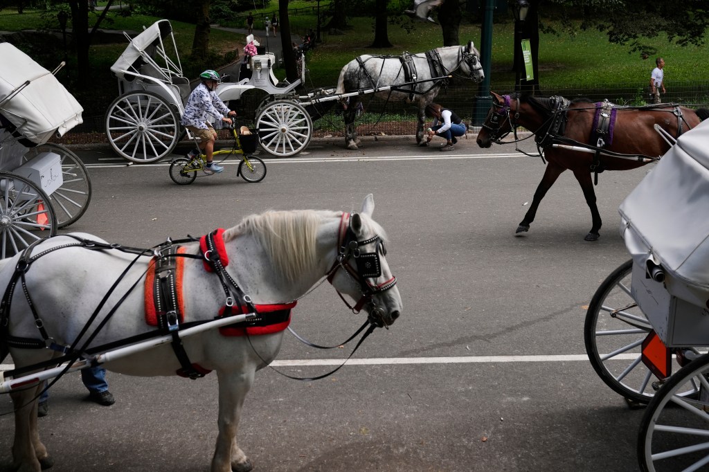 Nueva York pone Fin a una Tradición y abre un Nuevo Debate sobre Bienestar Animal.